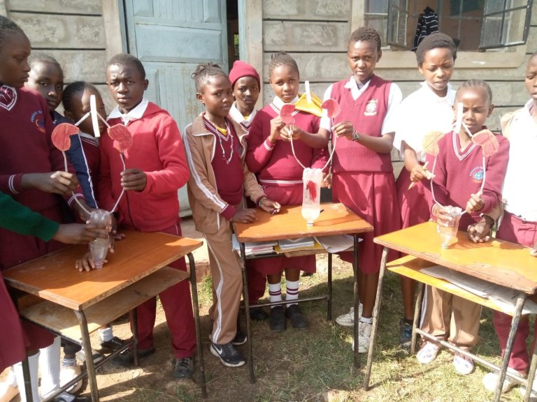 Nurturing Tomorrow's Innovators at Pehucci